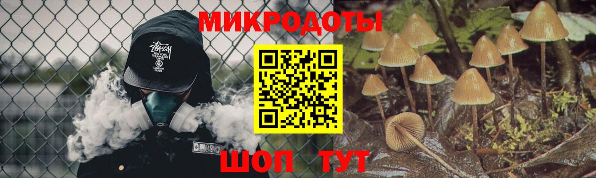 Ярцево  Псилоцибиновые грибы Psilocybine cubensis  Вход с VPN 